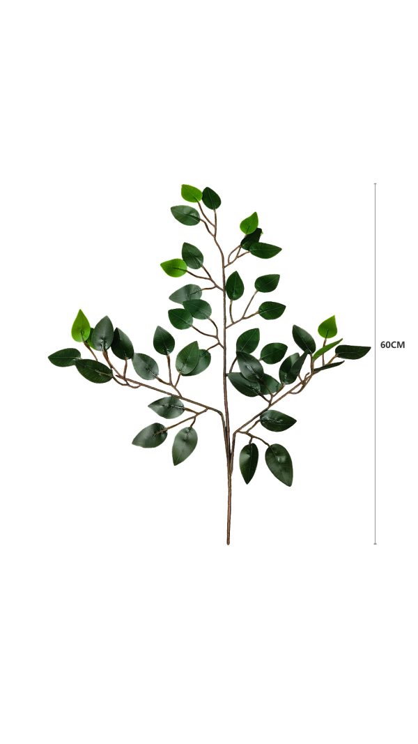 48c67f6fa110db693389da1fcab70e05