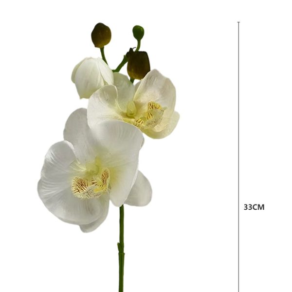 012fe12ac479c027d244bb98463fcd7c