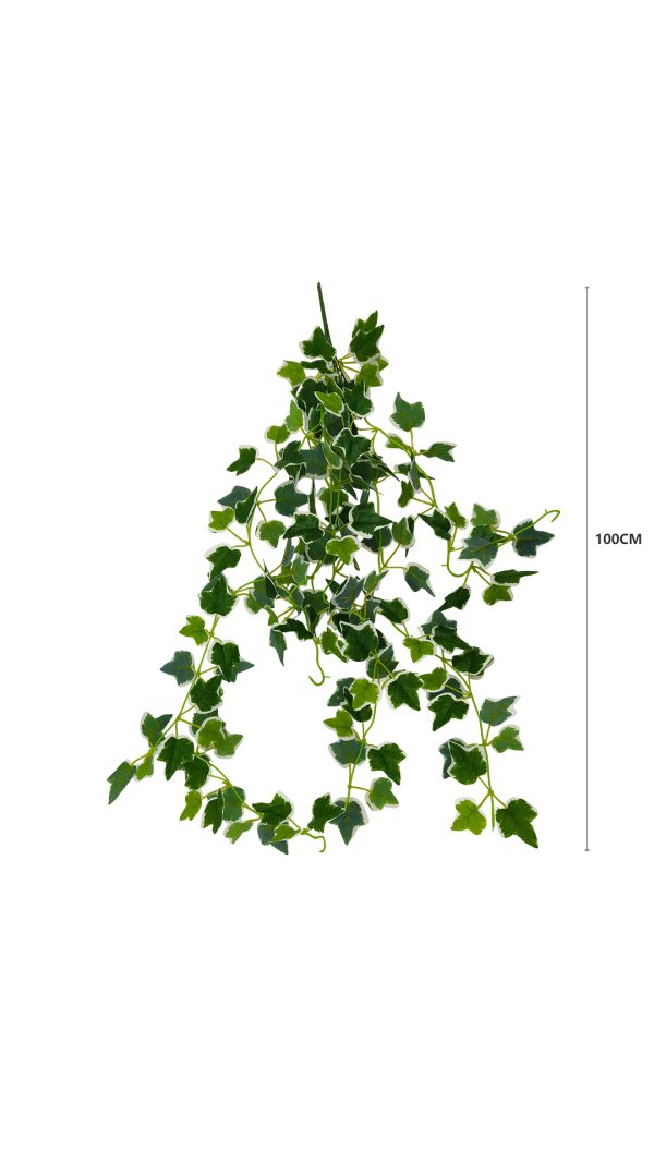 f756a8cd529b012340d4cc8c65353d4a