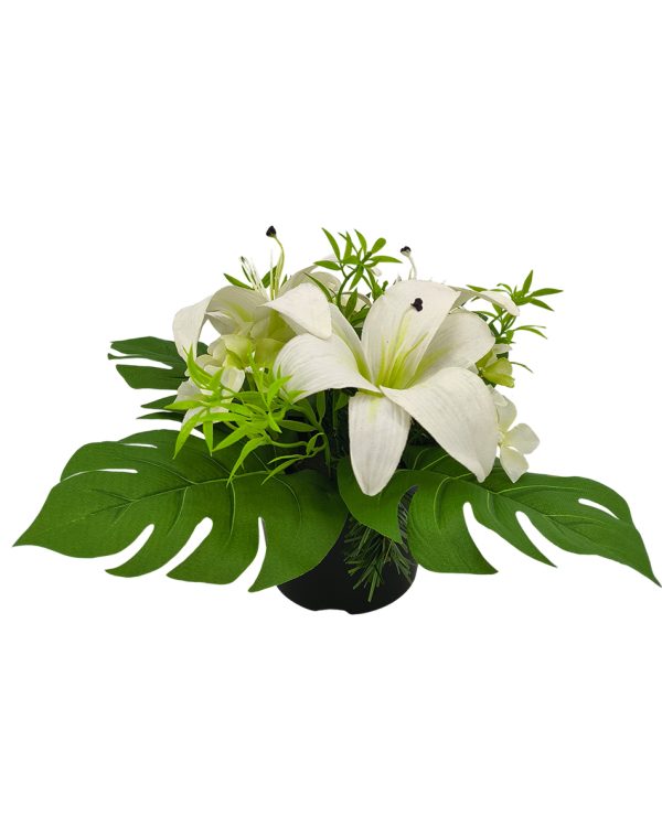 27bc4b8d869661ae2628552ab6e790ea