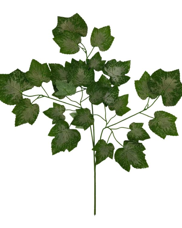 fb3c962a0df1d9a6621817fddaff2e06