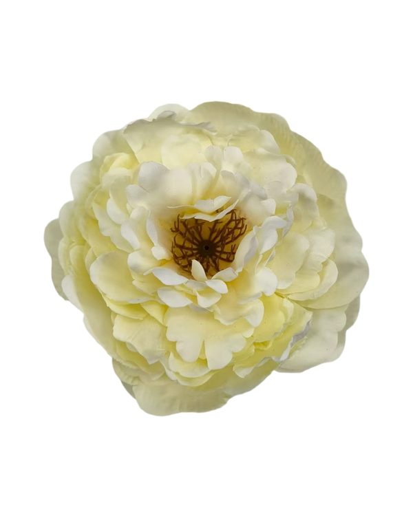 6ab143e658080c586864a9ffb7548130