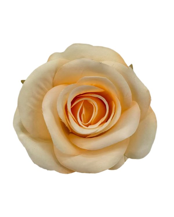 61f5a4c5ccb192983f76eab9326798a0