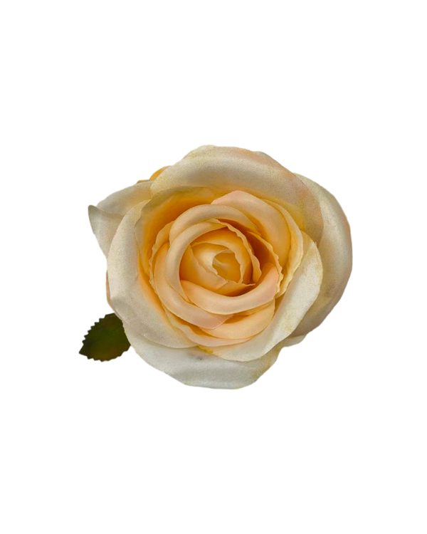 3ae5291b2998dee8da16c448b79c7934