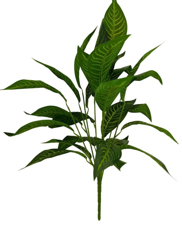 c64843076f216429ce2deca32f019286