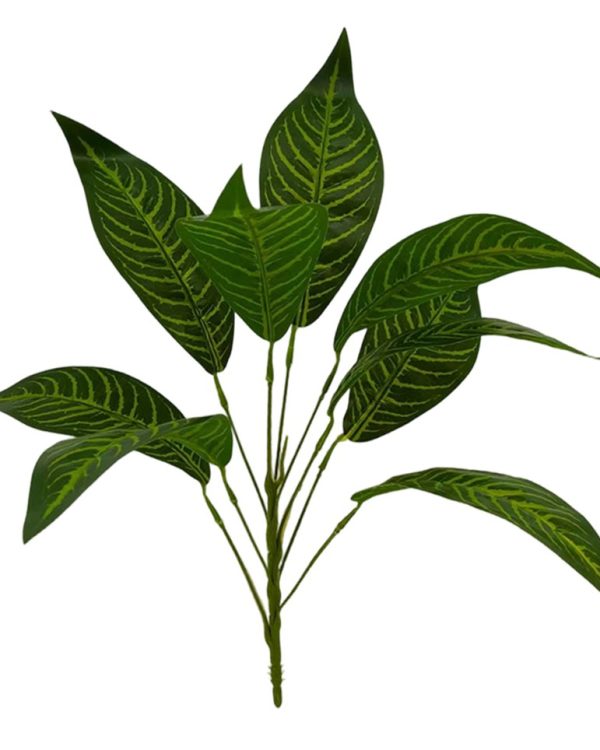 6ea006a663e290c9223bddf7c1454f31