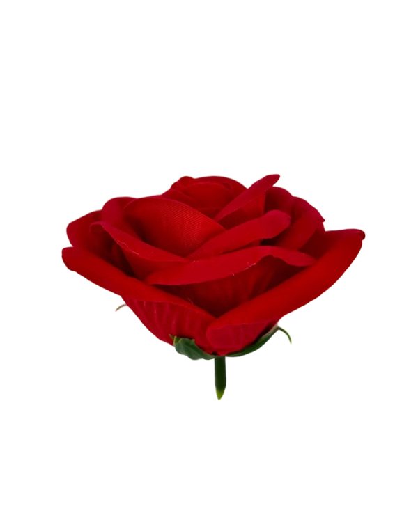 c9001a795419d80b27cf1caaa615c9b9