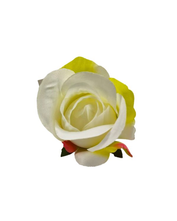 d82b2a0cc30828016b7fa968fe205647