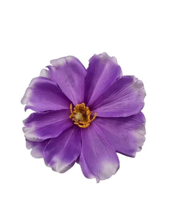 24e534bf8629a446469a7aceba725142