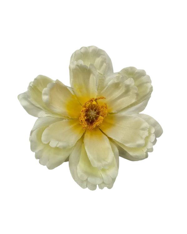 03ce63700a5e8b0080f9b1db8a543df4