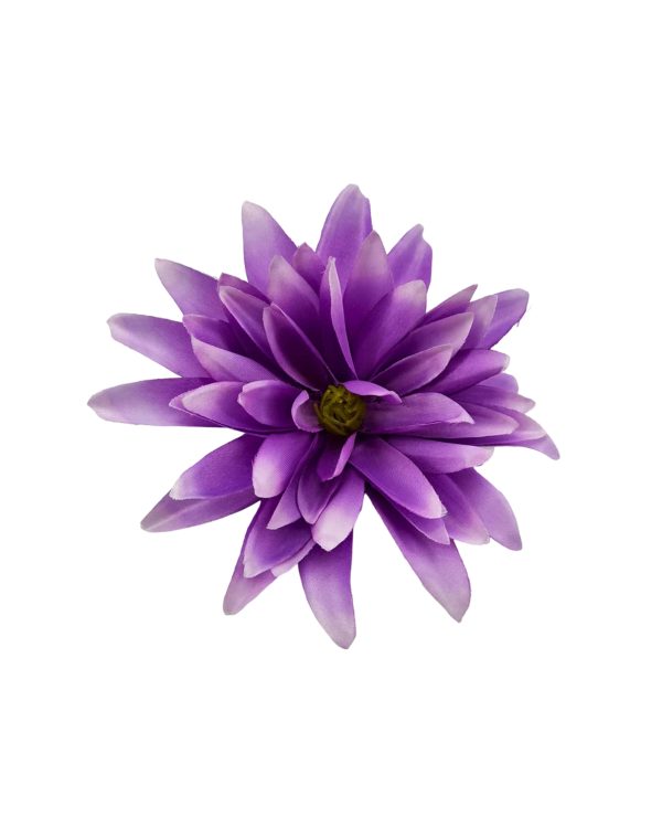 70ee27deaacbb761d69922768d75db17