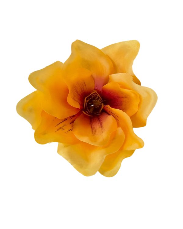 f29a3d99aa1e9dbaea92b25e92922d4c