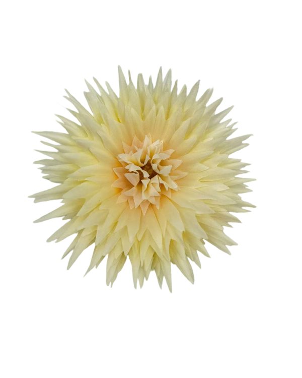 eda9c13961e2db00d2a95aeb7d71da89