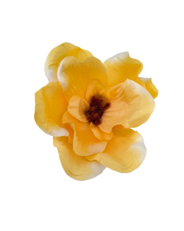 1baae15e0801c6cd3be453d89bbec096