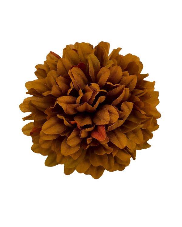 f77d36560578e0abbdabba8c7a8d91b8