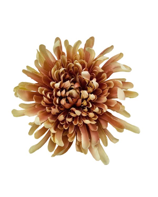 a99f34665e773668788e30f542037bfe