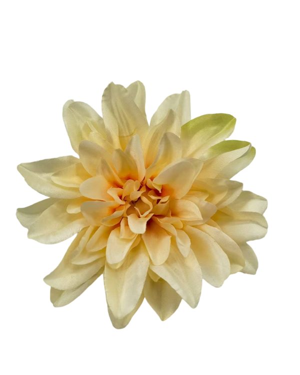 de7711ecbc49962fa4505bb0ef70f745