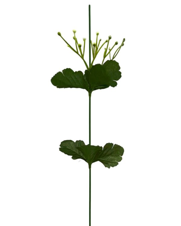 32812b9f46bcdd7980dff899f3700da0