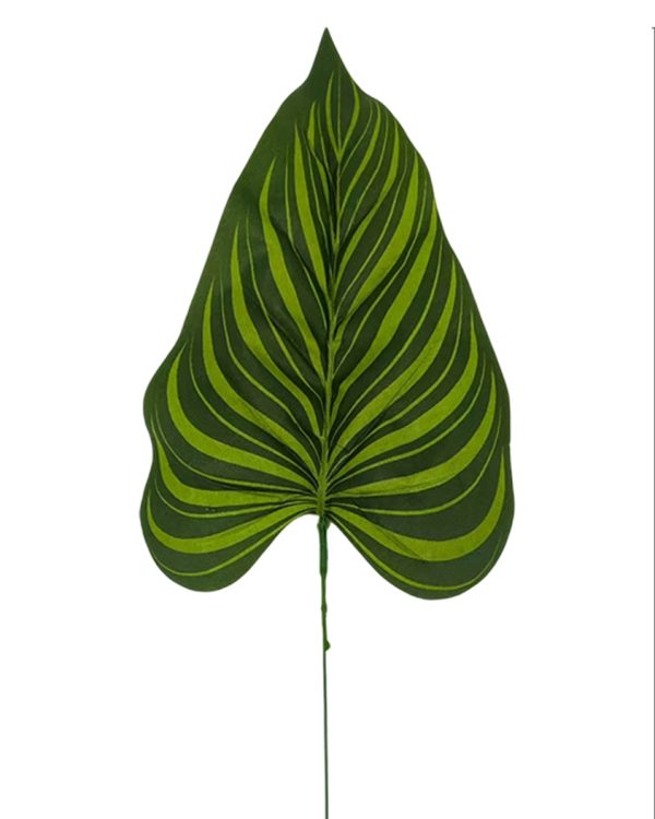 241b6adf9bf9ed2d1858b8a372280f77