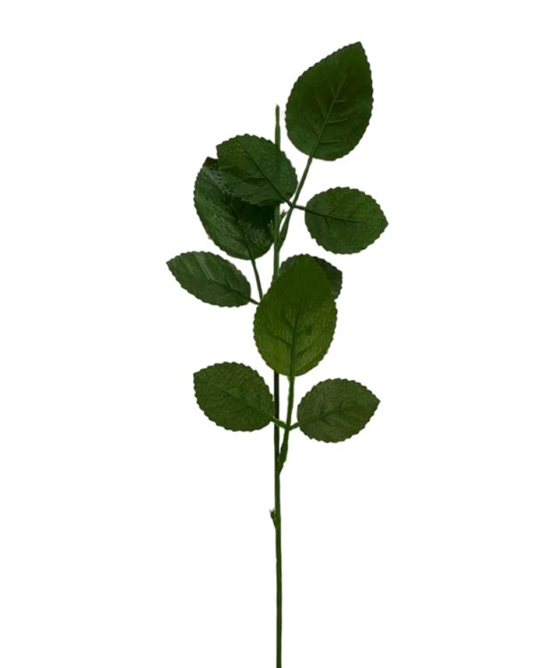 95e06a2fe4bd45dbeb180be641e65a08