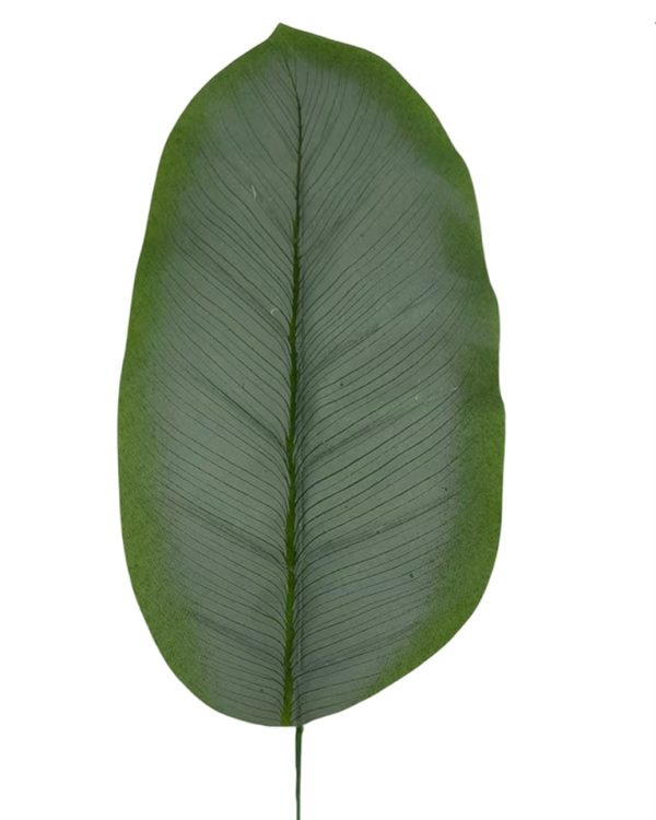 9fc7fe76436b94b1f4d234b11ceefed1