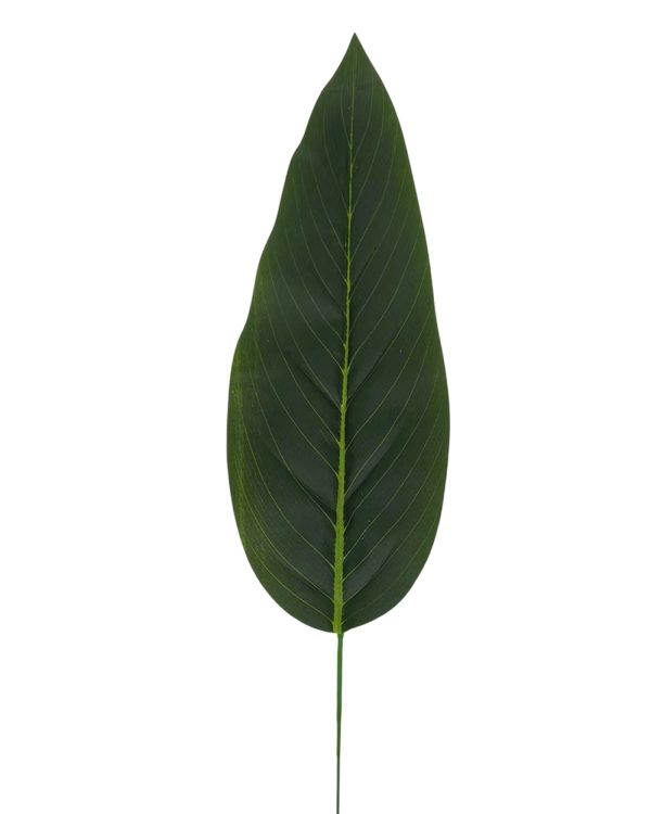 4712b93c6d4e4259f2a485386fb920cb