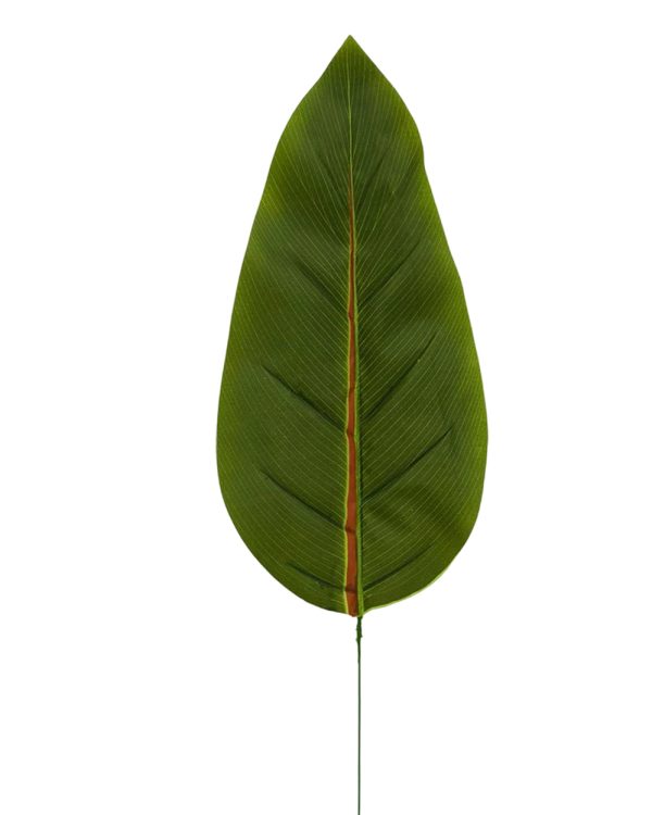 81adca9761f0aed34e322b99e922fd5c