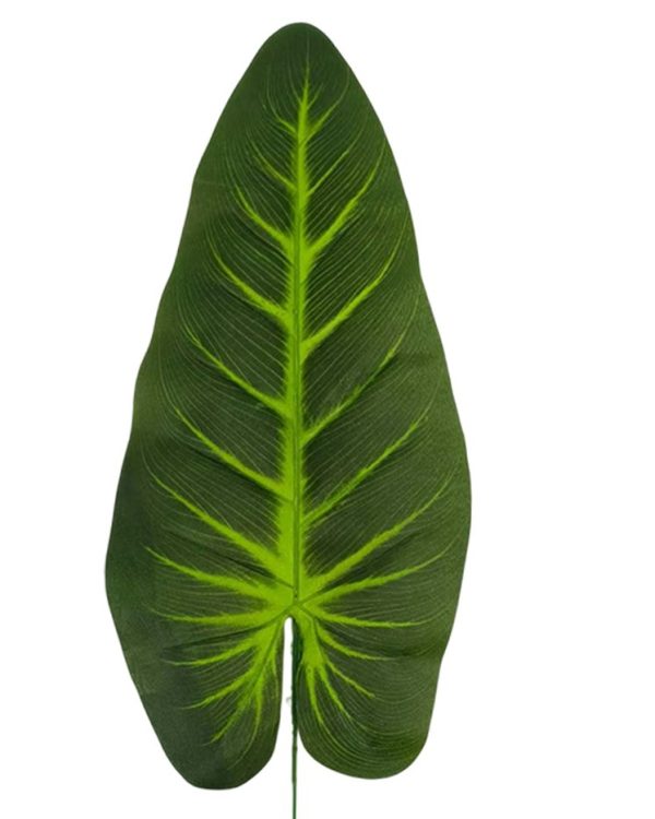 9829b400ceb9157f4a5deafb0bc97c96