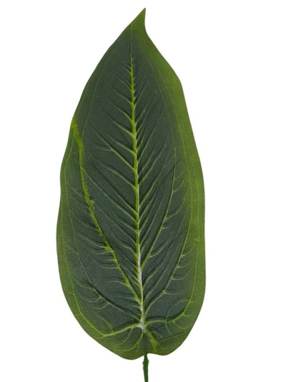 3155e06266d294fb4353a64fb9ebd6b5