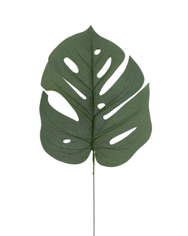 7d133229b20634147b8e0c6eba56944c