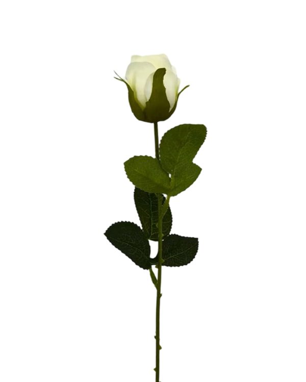 3e3366bdca3a5b94ac5a0e00e3b04ec4