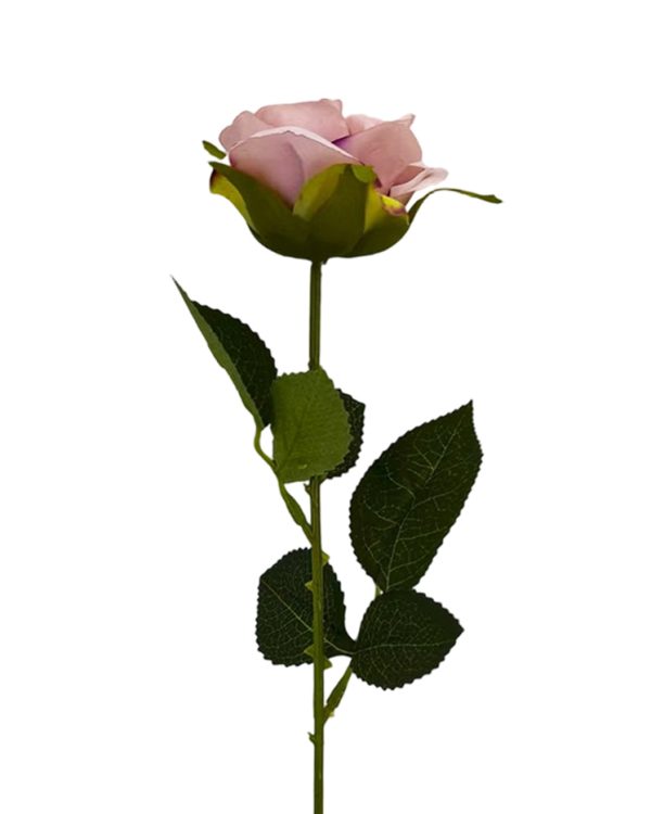 6beb20c6ce6ffc69b0261f2885d968d5