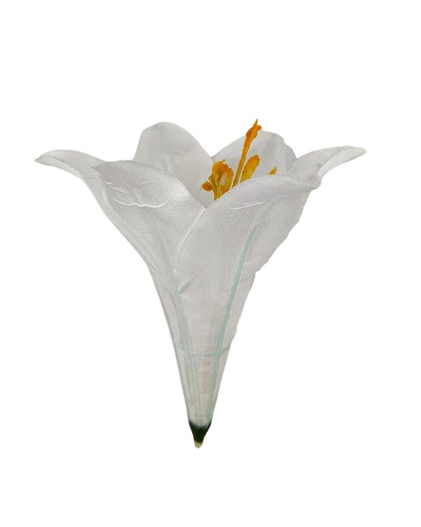 54a01297d1eba8dda29d54532a51319f