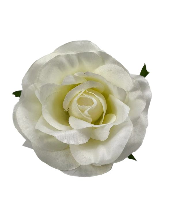 564e6f0caa374d71a97d97727c2b402c