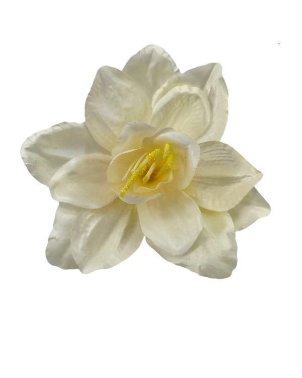 b84d6c255e4e252dcf0d80f4a8aaedbe