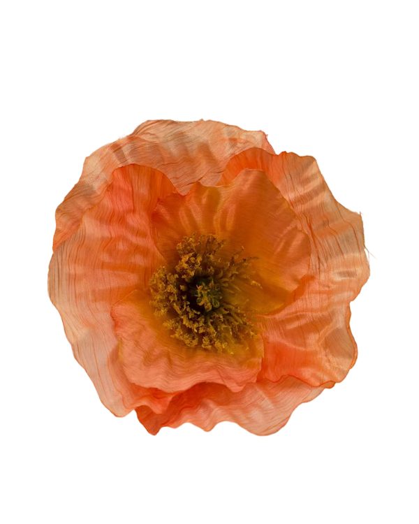 4cf7949531ebabe585737b969420c60d