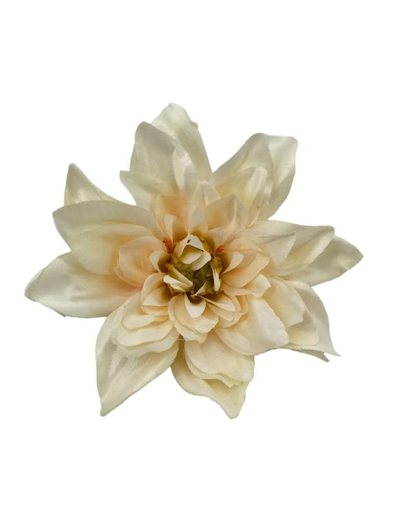 8ad7bc3fd9c8b04d776e7f06c78d5861