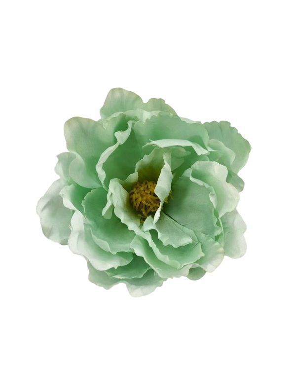 0880cb25123cce49d8852002b40f079b