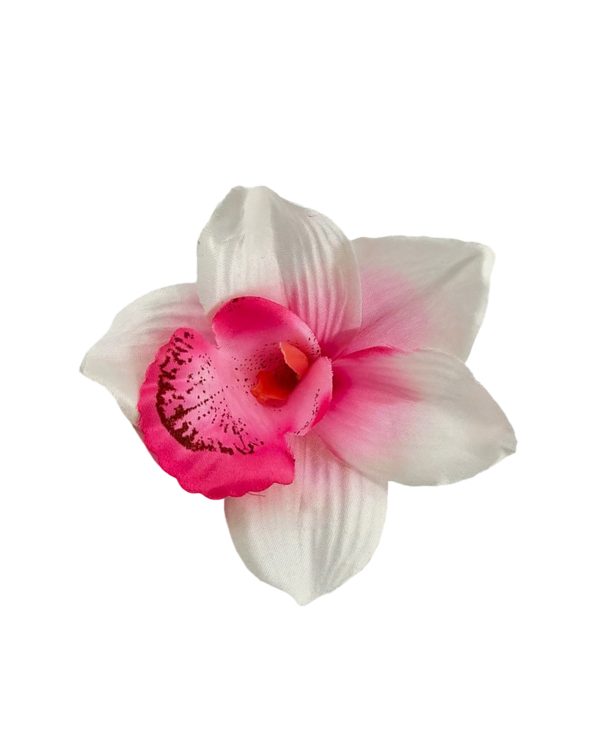 5640815c8ccd8c87038528df6e9c2df9