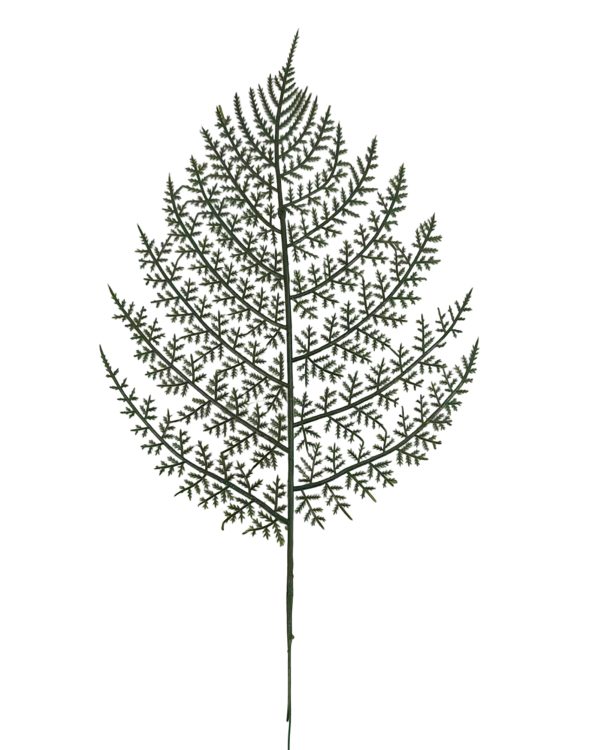 ba05854a1d23720b8a77e70eba85bc1e