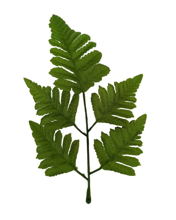 143d4621534e4df9723cf3ee54b05610