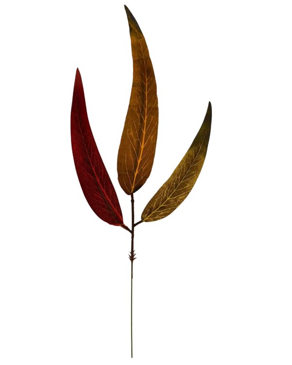 2138ab996942d802ab0c51fb7c51743b