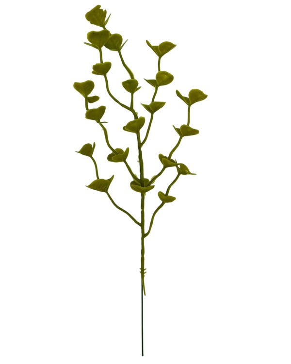 bdae2ae86d8a709d9e2522d633c82688