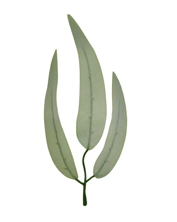 17b44f9c517f332beaeeafd1d202ac72