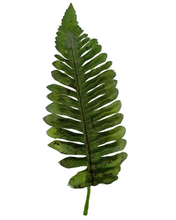 9b7d2fe998d917543849dbb3f29580e1