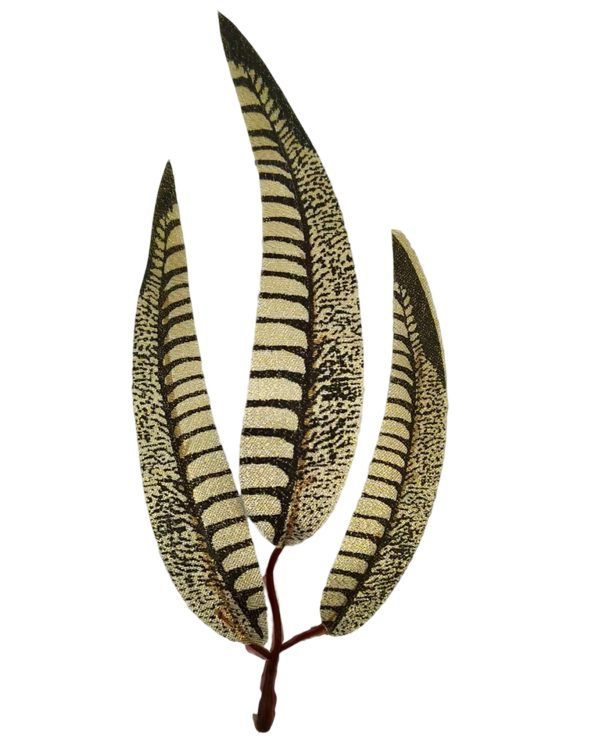 175bf770204e06021a55f1da3dc45de7