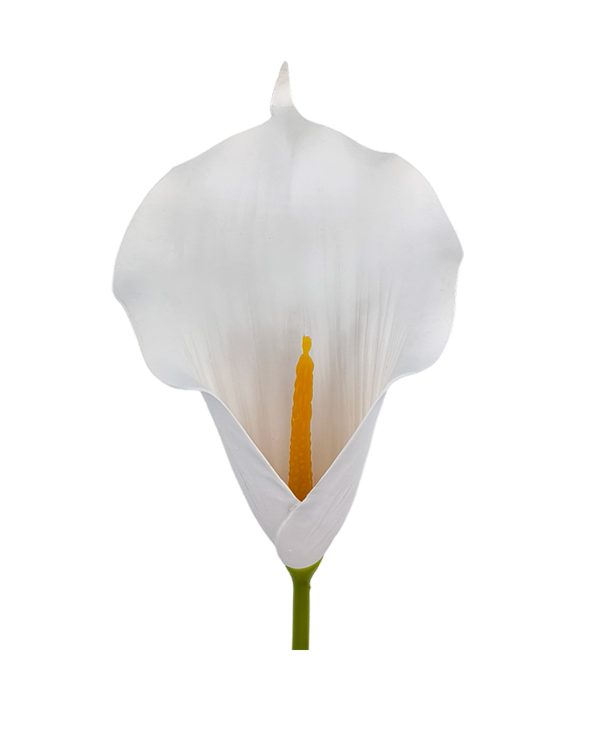 e45f7532aea0d83abf74b761ad322f09