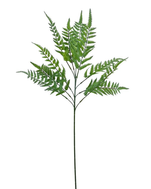 cd9d85e321ba8a64f028193dc3a114ff