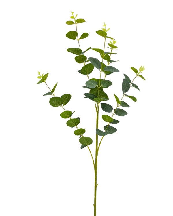 9ed27ad92636be28a39e494594ec3962