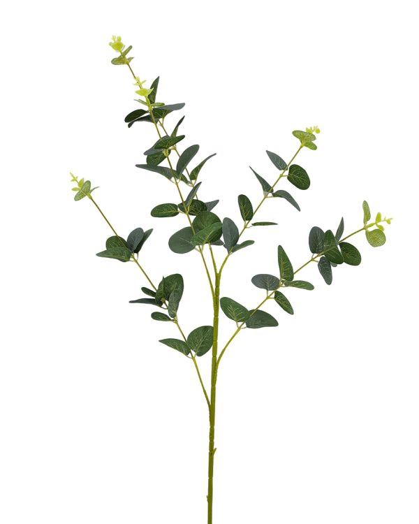 ae66ab7df3f45969cf7748204dedee0f